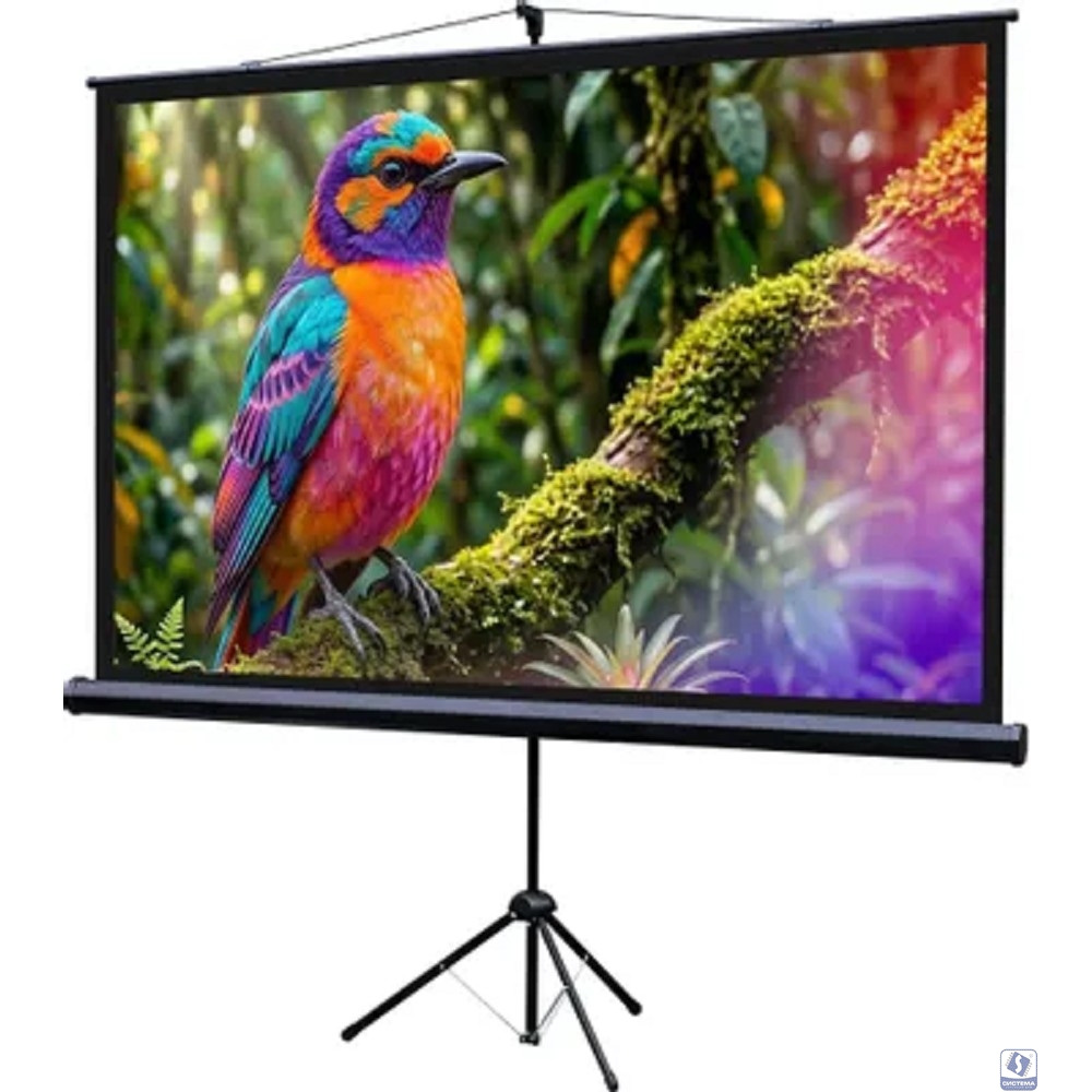 Lumien Eco View LEV-100115 Экран на штативе 130x227 см (раб.область 124х221 см) (100") Matte White 16:9