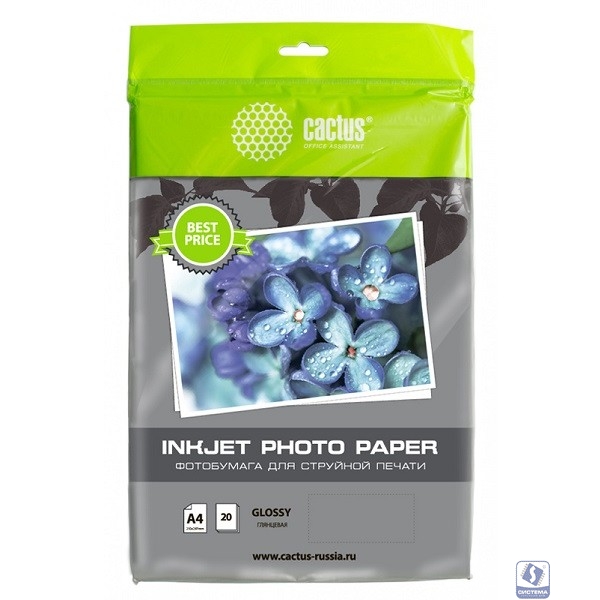Фотобумага Cactus CS-GA413020ED A4/130г/м2/20л./белый глянцевое для струйной печати