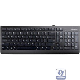 Lenovo [GX30M39684] 300 USB Keyboard