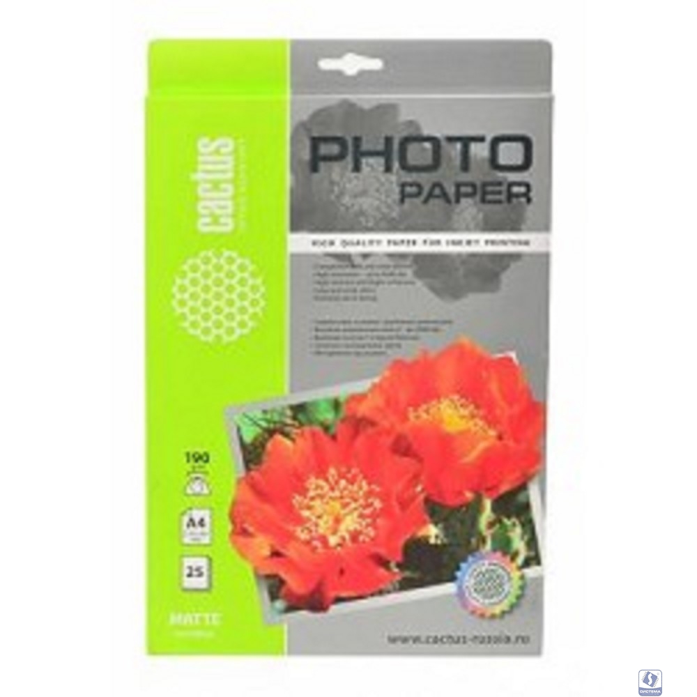 CACTUS CS-MA419025 Фотобумага матовая, A4, 190 г/м2, 25 листов