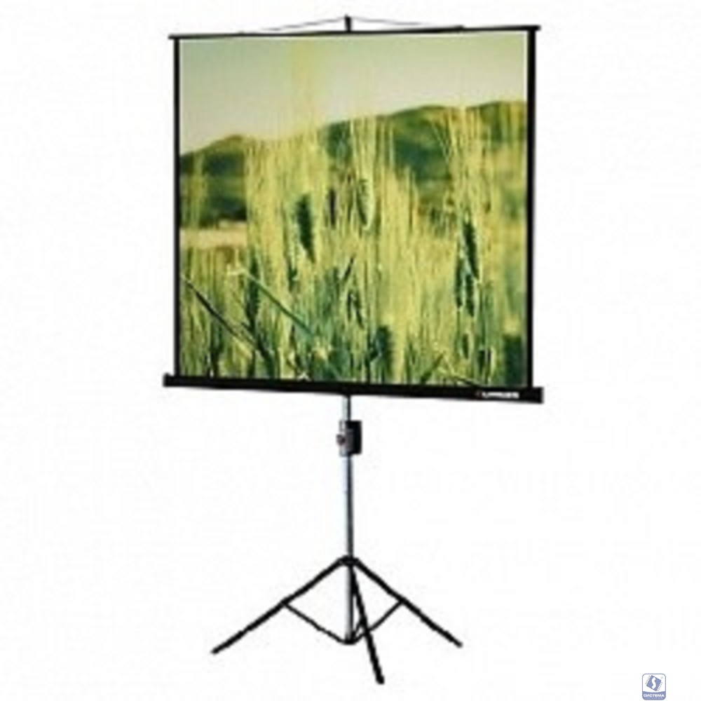 Lumien Eco View LEV-100102 Экран на треноге 180x180 см 1:1 с возможностью настенного крепления