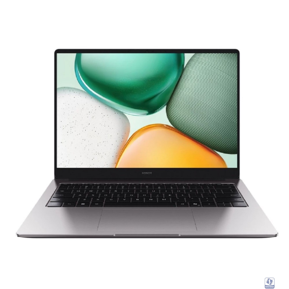 Honor MagicBook X14 GDG-X [5301ALXB] Grey 14" 