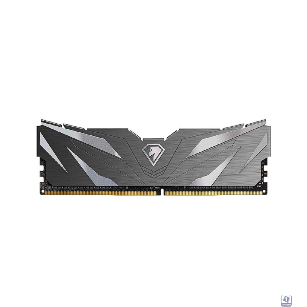 Netac Shadow II 16GB DDR4-2666 (PC4-21300) C19 Black 19-19-19-43 1.2V NTSWD4P26SP-16K