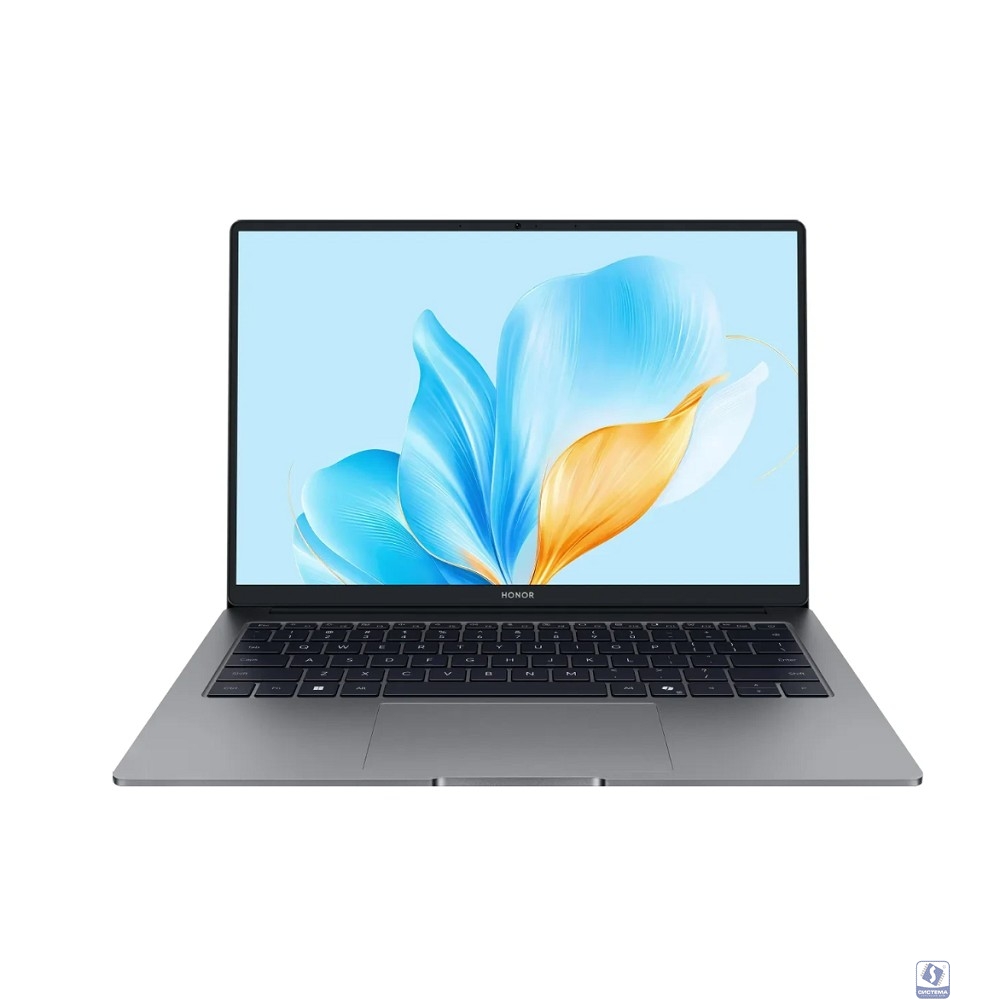 Honor MagicBook X14 FRG-X [5301ALWJ] Grey 14" 