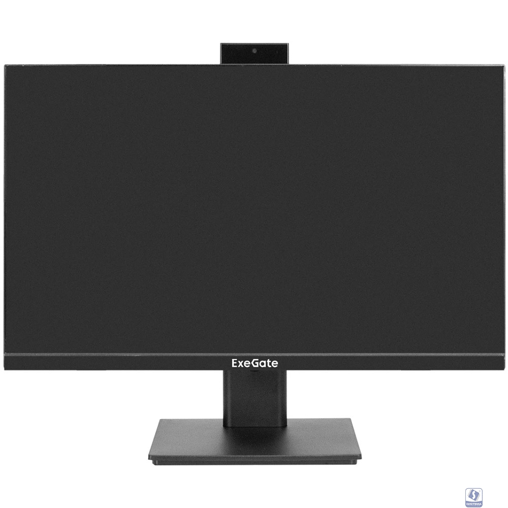 LCD ExeGate 23.8" EA2400 SuperView  [EX298878RUS]