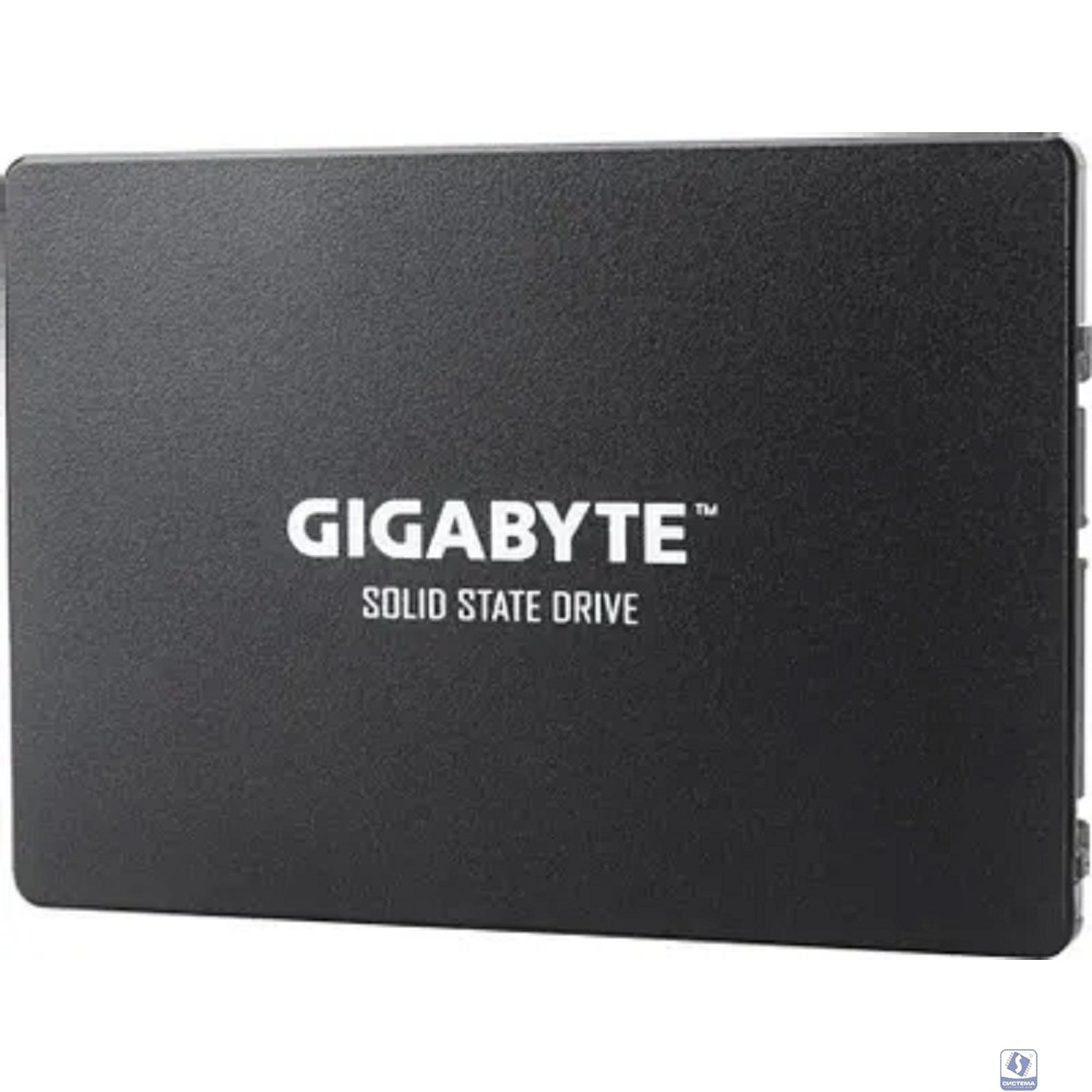 Gigabyte SSD 1TB GP-GSTFS31100TNTD 