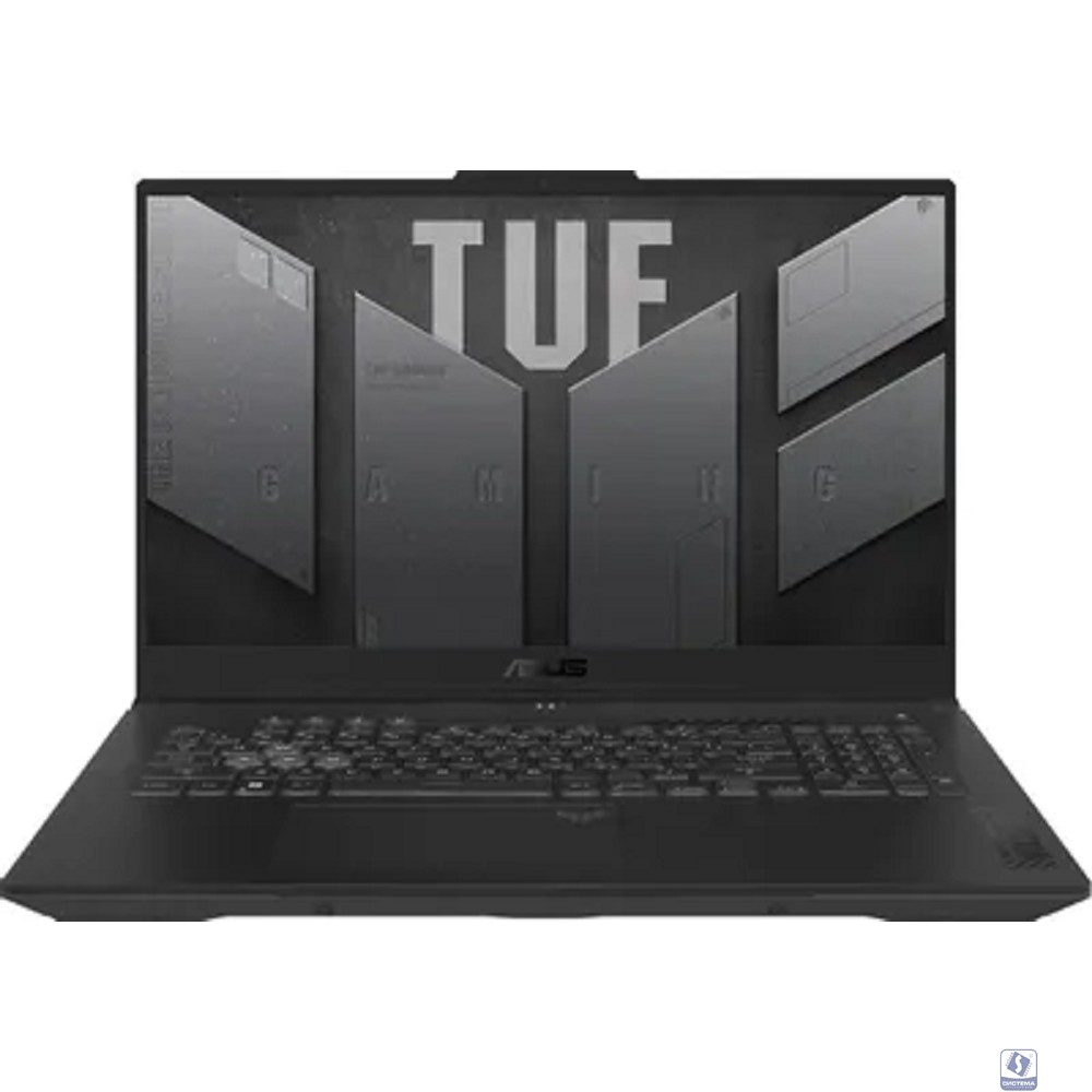 ASUS TUF Gaming FA707NUQ-HX010 [90NR0QH5-M000D0] Grey 17.3" 
