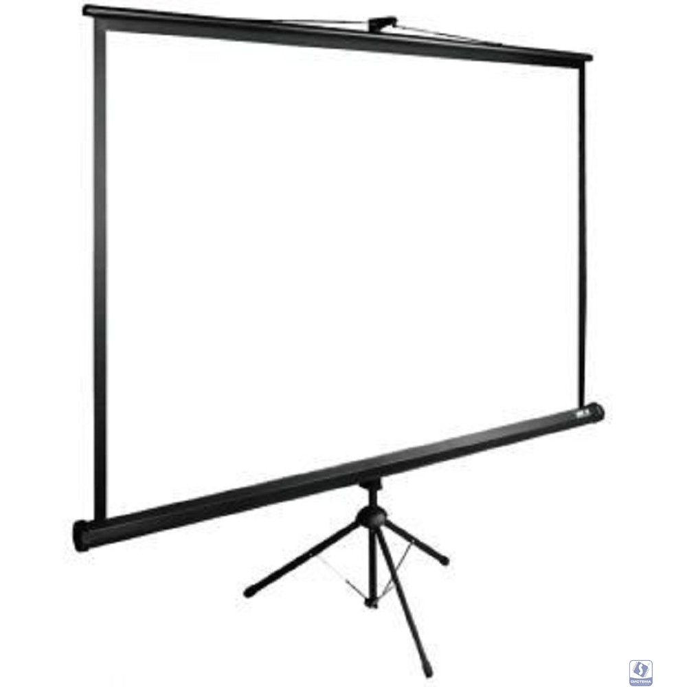 Экран Cactus TriExpert CS-PSTE-180x180-BK Экран 180x180 см 1:1 напольный рулонный