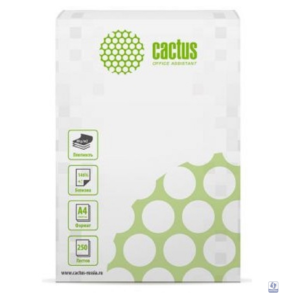 CACTUS Бумага белая офисная  A4/80г/м2/250л./белый CIE146% (отпускается по 1 пачке - 250 листов)