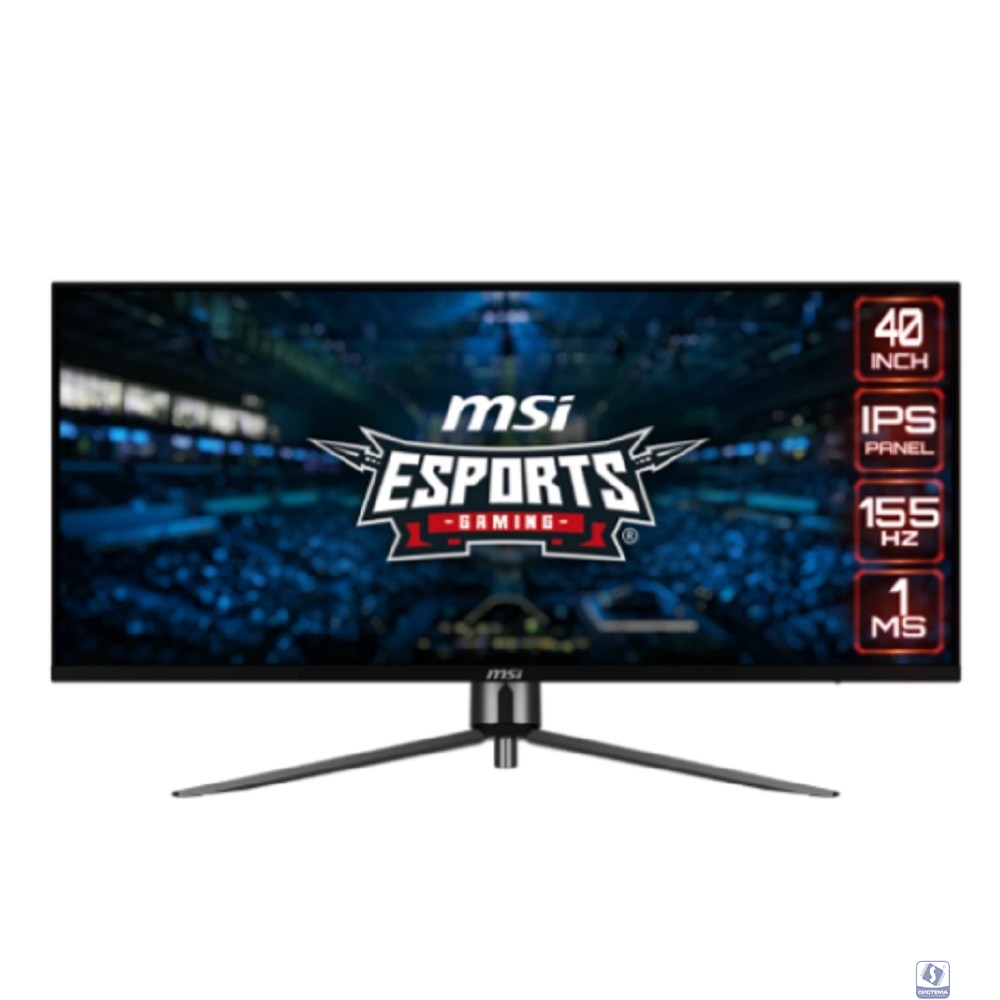 MSI MAG 40" MA401QR черный  [9S6-3EA54H-005/9S6-3EA54H-016]