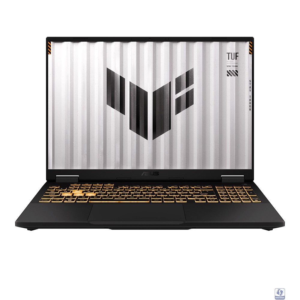 ASUS TUF F16 FX608JMR-RV170 [90NR0NB1-M009D0] Grey 16" 