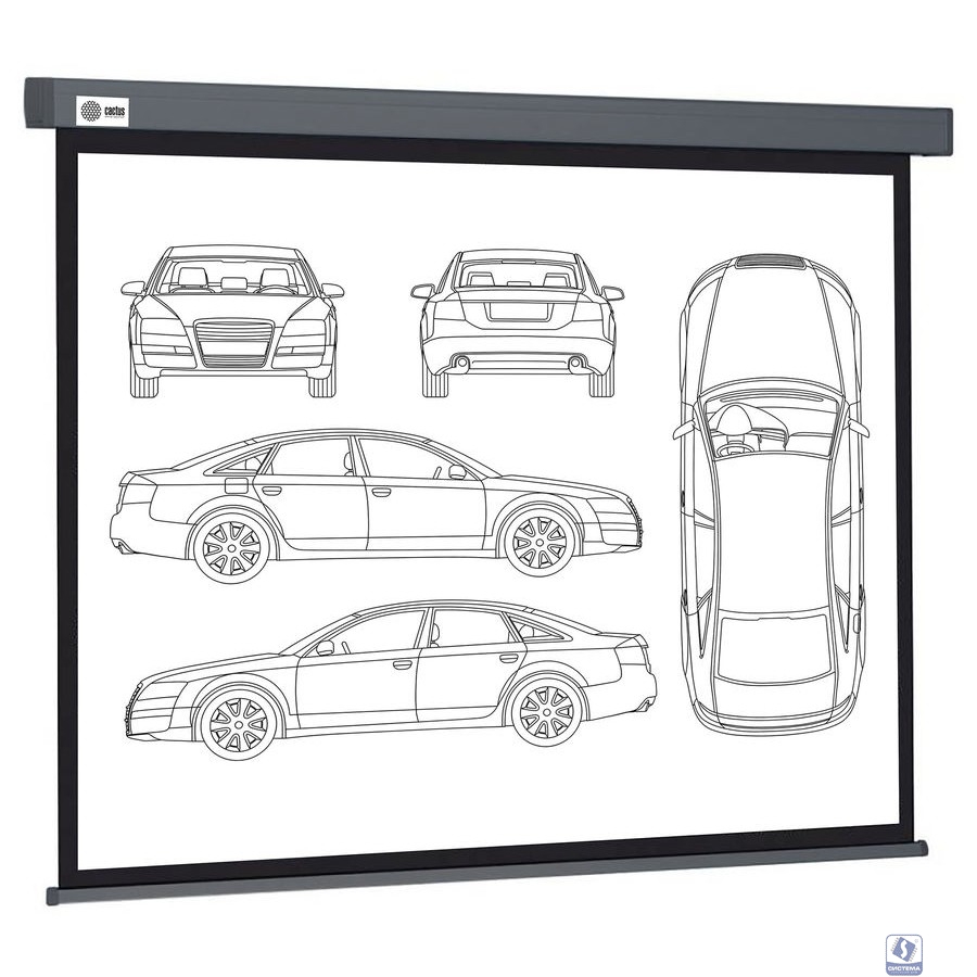 Экран Cactus Wallscreen CS-PSW-168X299-SG,  299х168 см, 16:9,  настенно-потолочный серый