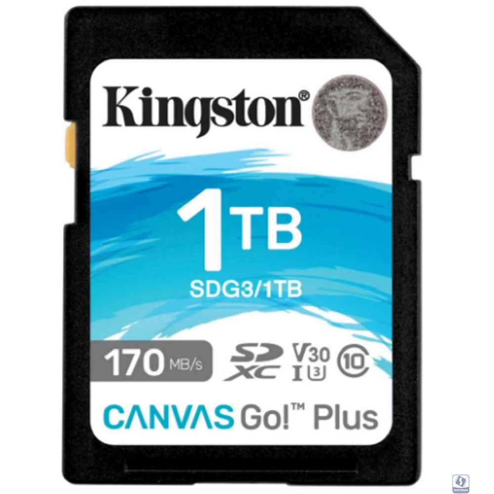 SecureDigital 1TB Kingston SDG3/1TB Canvas Go! Plus w/o adapter