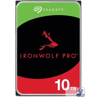 10TB Seagate IronWolf Pro (ST10000NT001) 