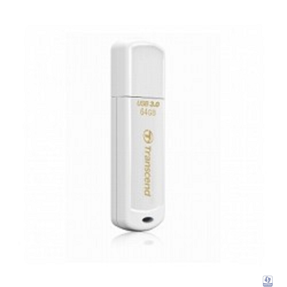 Transcend USB Drive 64Gb JetFlash 730 TS64GJF730 