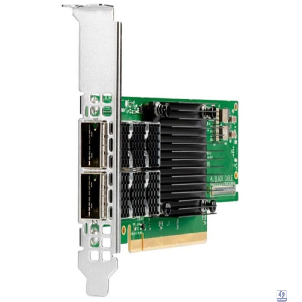 Mellanox MCX653106A-ECAT