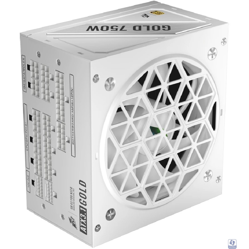 1STPLAYER NGDP GOLD 750W White / ATX 3.1, APFC, 80 PLUS Gold, LLC+DC-DC, full Japan solid-state caps, 120mm fan, full modular / HA-750BA4-WH