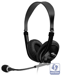 RITMIX RH-533USB, Black 