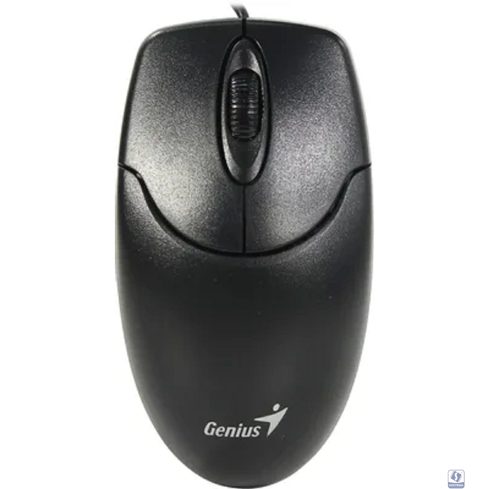 Мышь проводная Genius NetScroll 120 V2, оптическая, разрешение 1000 DPI, кабель 1.5 м, для правой/левой руки. Цвет: черный (31010018400)