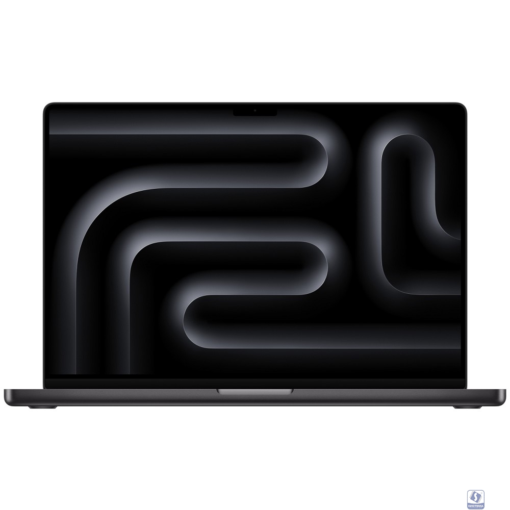 Apple MacBook Pro 16-inch 2024 [MX2X3HN/A] (КЛАВ.РУС.ГРАВ.) Space Black 16" Liquid Retina XDR  (A3403) (Индия)