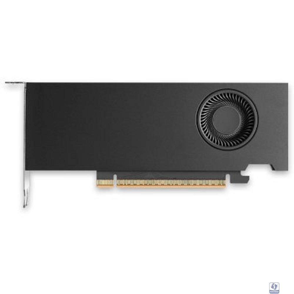 VGA NVIDIA RTX PRO 2000 Blackwell, 16 GB GDDR7 with ECC, mini DisplayPort 2.1, PCI Express 5.0 x8, Bulk  900-5G195-2250-000