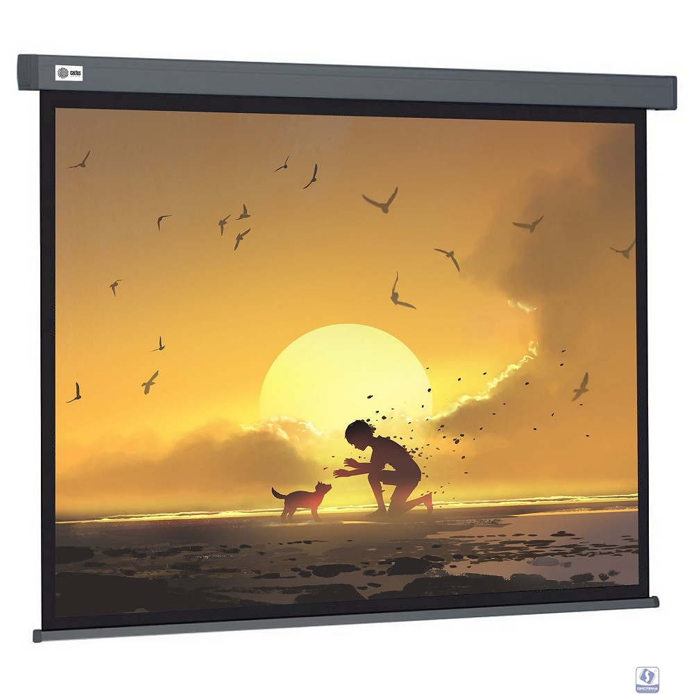Экран Cactus Wallscreen CS-PSW-124X221-SG 124.5х221см 16:9 настенно-потолочный рулонный серый