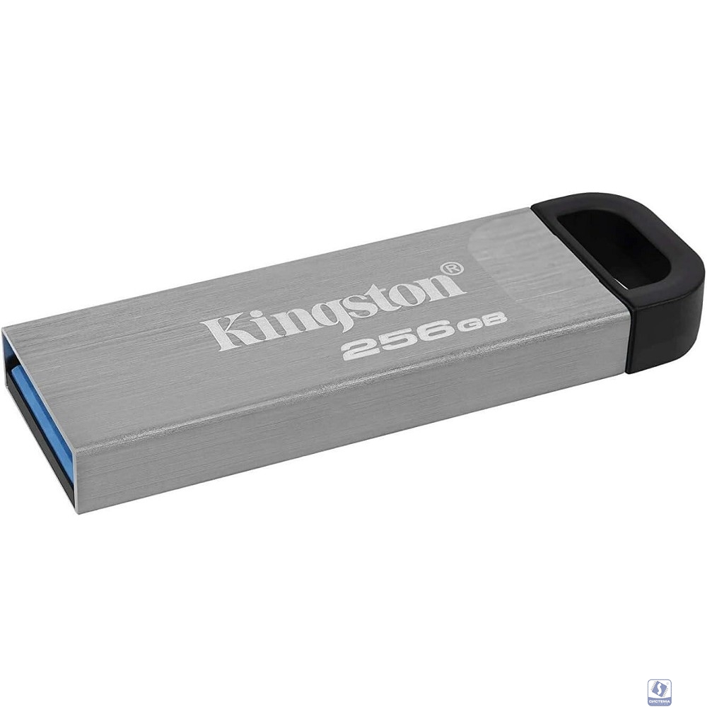 Kingston USB Drive 256Gb DataTraveler Kyson DTKN/256GB USB3.1 серебристый/черный
