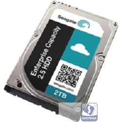 2TB Seagate Capacity 3.5 HDD (ST2000NM0055) RECERTIFIED 