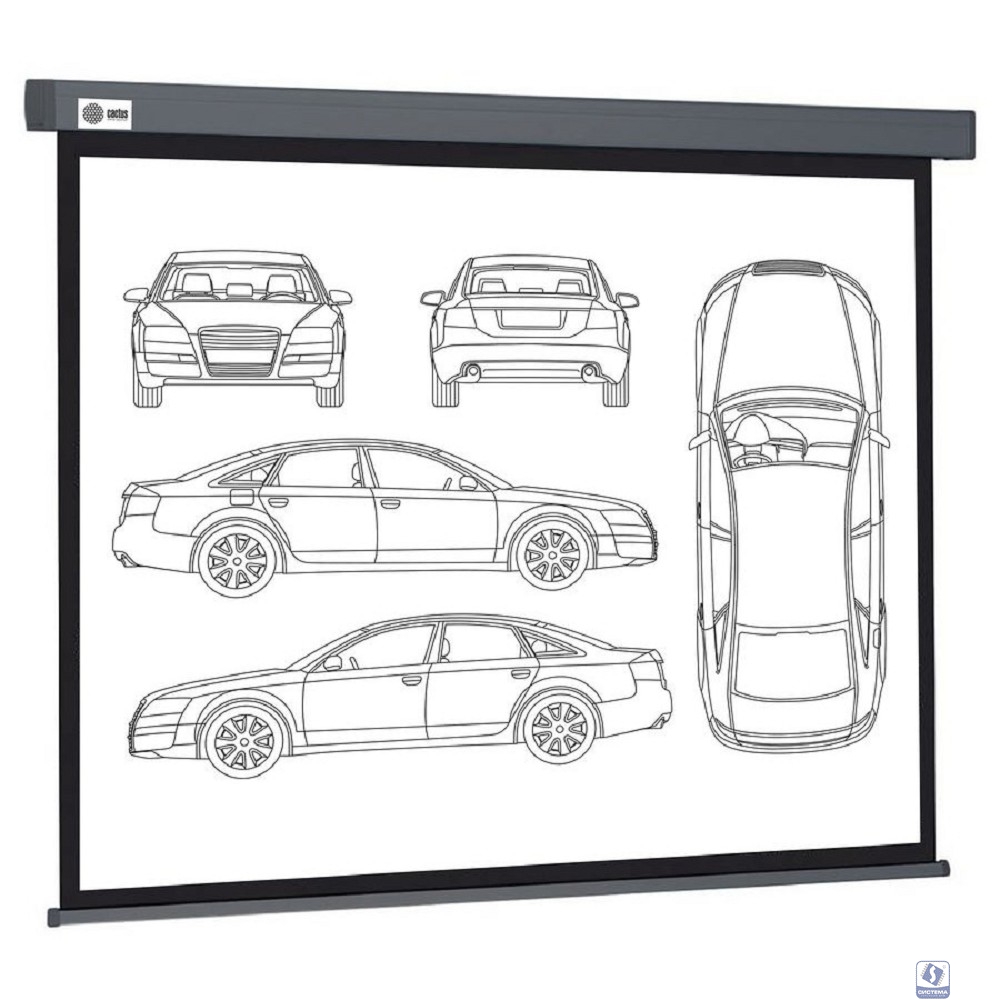 Экран Cactus Wallscreen CS-PSW-168X299-SG,  299х168 см, 16:9,  настенно-потолочный серый