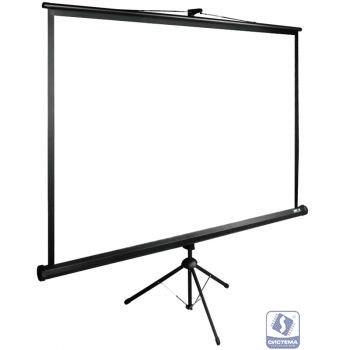 Экран Cactus TriExpert CS-PSTE-160x160-BK 160x160 см 1:1 напольный рулонный