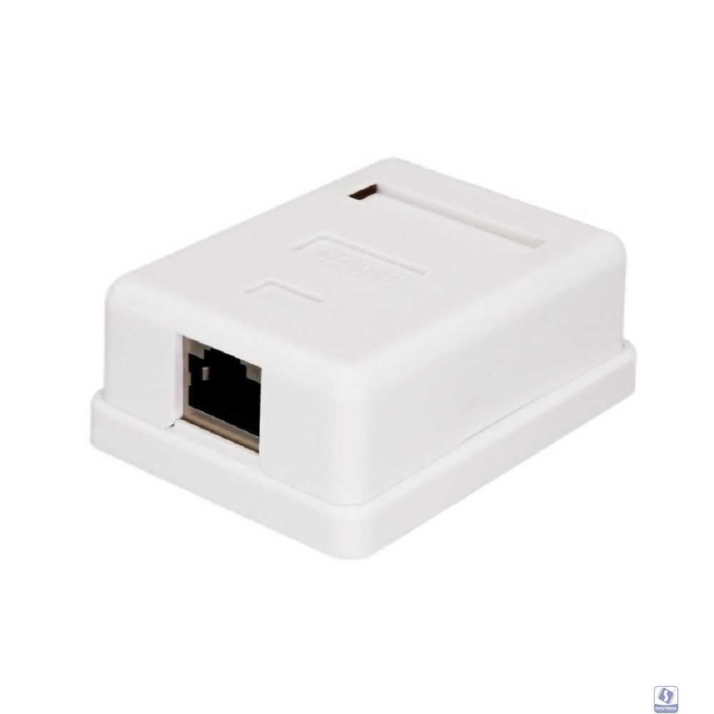 Bion Внешняя сетевая розетка BXP-ENS-C5E-1P-1 RJ-45 cat. 5e, 1 порт, 110&Krone