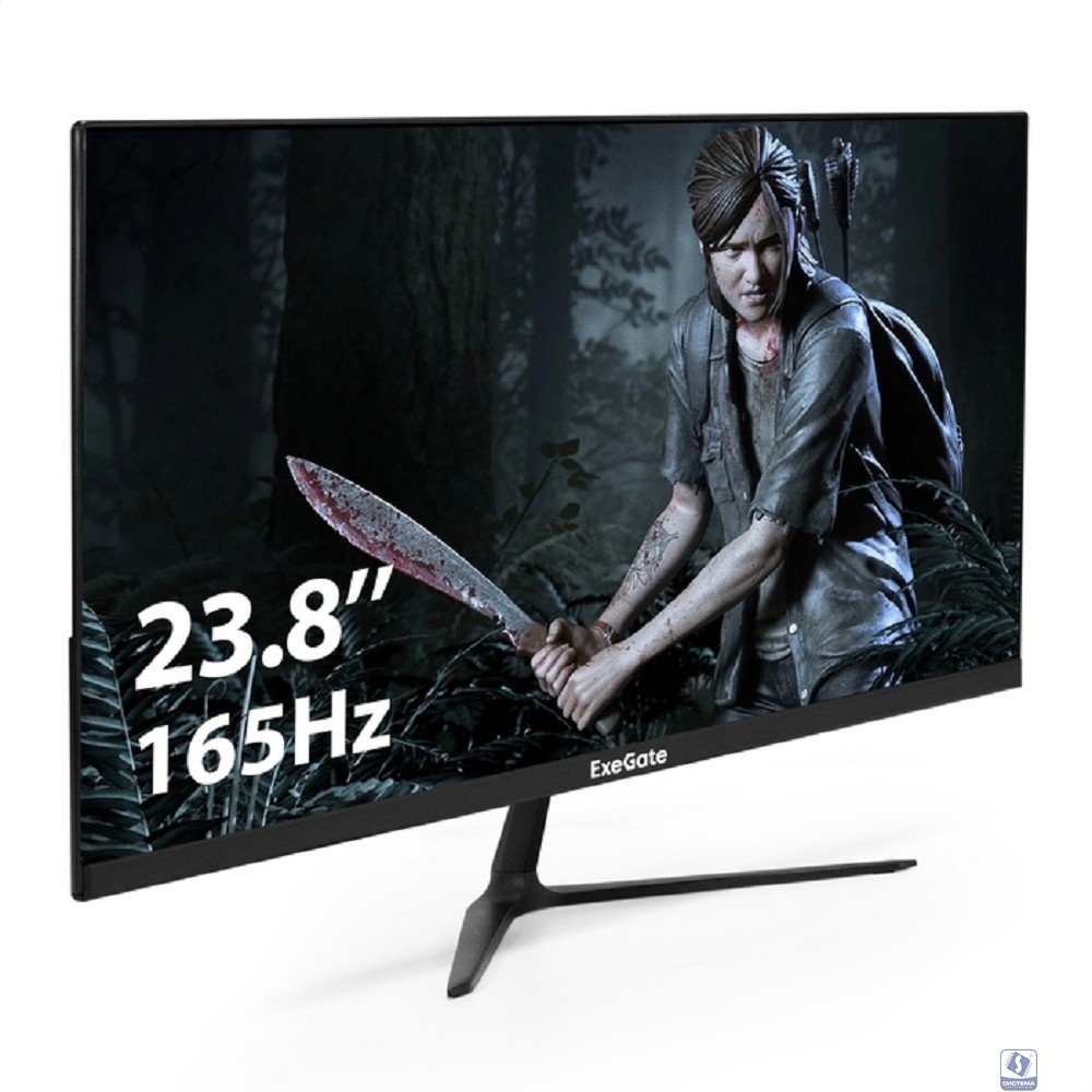 LCD ExeGate 23.8" EG2407C Combat  [EX295589RUS]