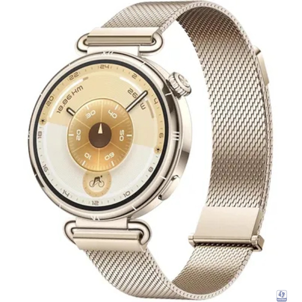 Умные часы Huawei Watch GT 6 Gold Milanese