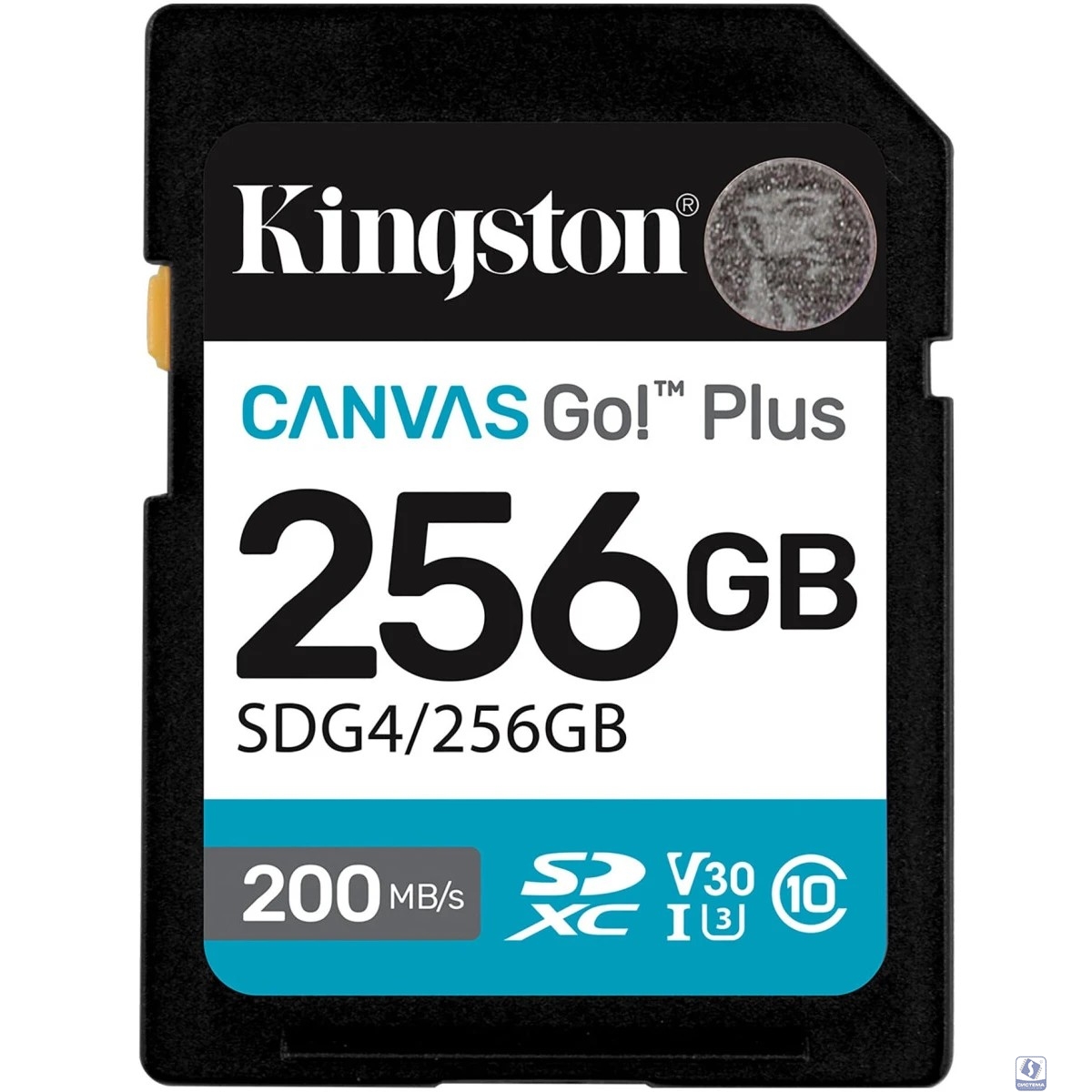 SecureDigital 256GB Kingston SDG4/256GB Canvas Go! Plus V30 w/o adapter