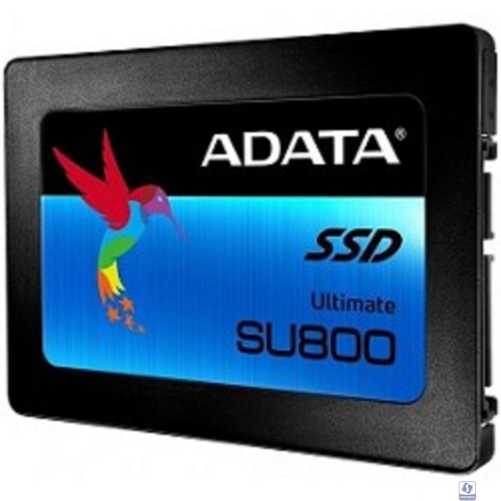 A-DATA SSD 256GB SU800 ASU800SS-256GT-C 