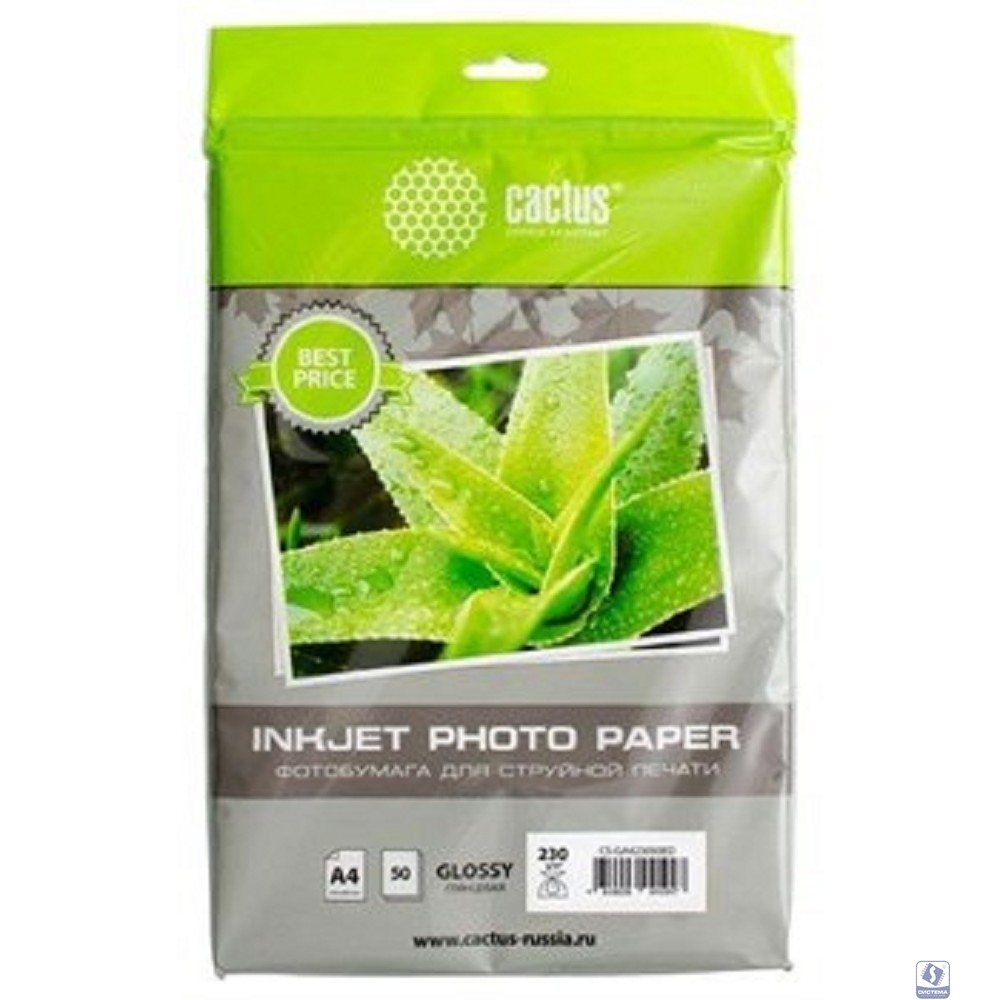 Cactus CS-GA423050ED Фотобумага A4/230г/м2/50л./белый глянцевое для струйной печати