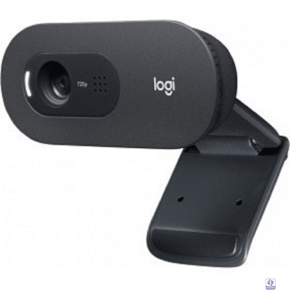 960-001372/960-001373 Logitech WebCam C505e  (960-001373)