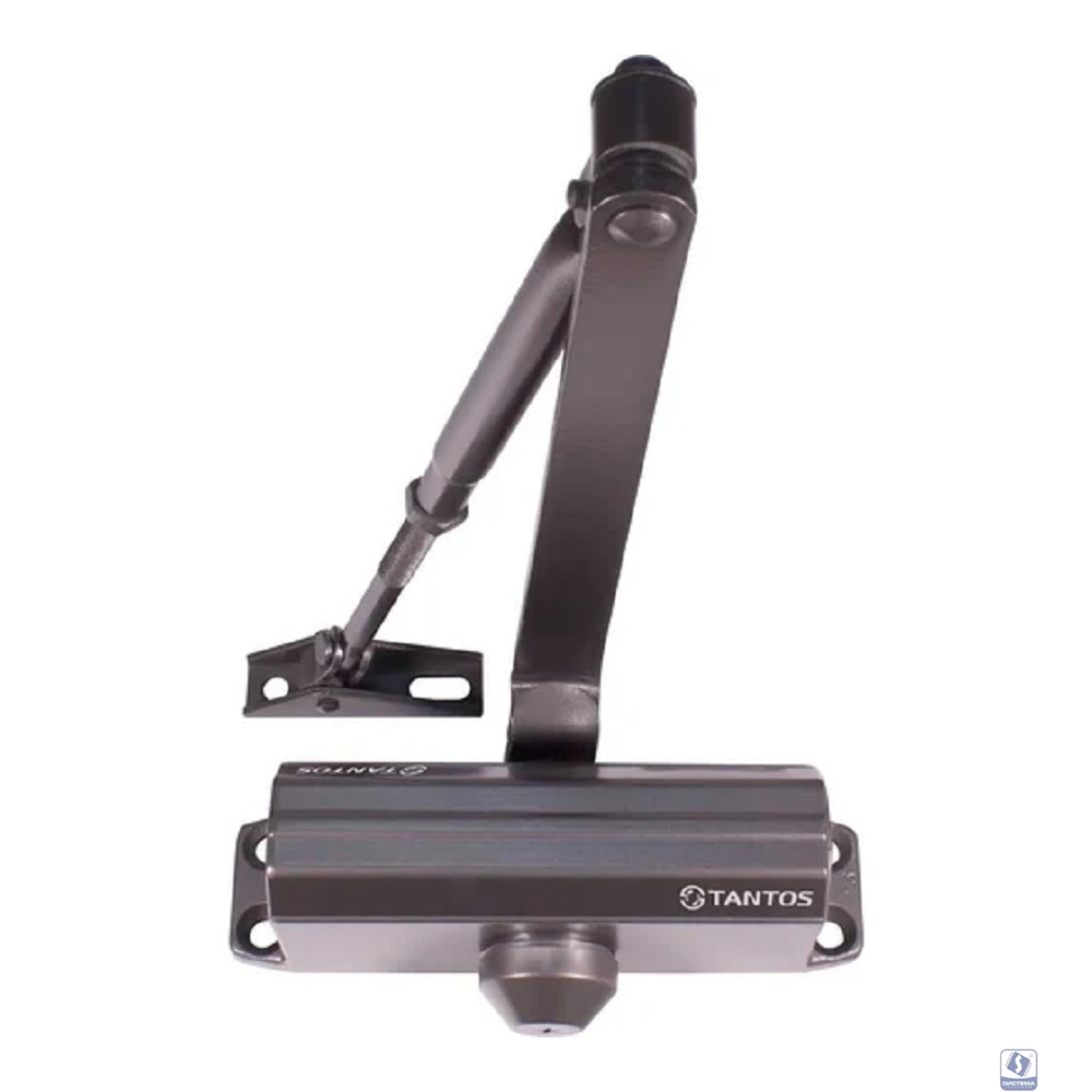 Tantos TS-DC085 Freeze графит Доводчик дверной EN4, до 100 кг