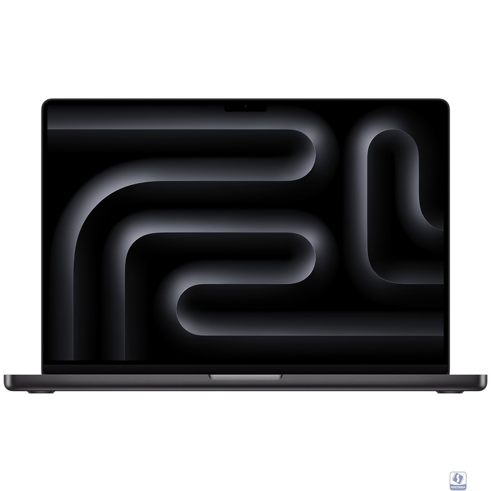 Apple MacBook Pro 16-inch 2024 [MX2Y3HN/A] (КЛАВ.РУС.ГРАВ.) Space Black 16" Liquid Retina XDR  (A3403)