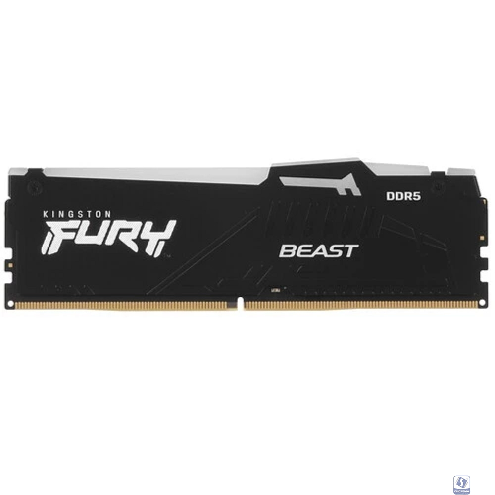 Kingston DDR5 DIMM 16GB KF560C36BBE2A-16 