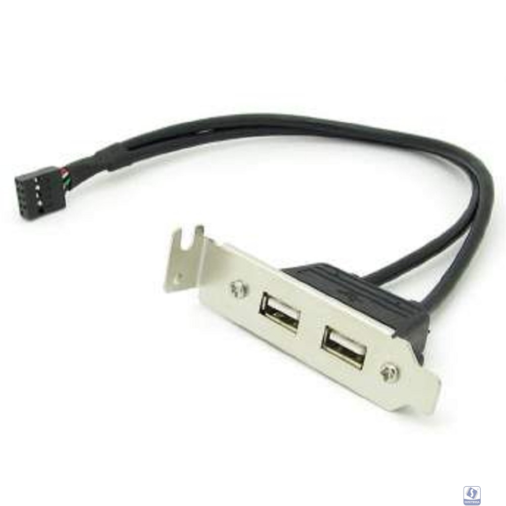 ORIENT C026, Планка портов в корпус 2xUSB 2.0, Low Profile, длина кабеля 30см, oem (30826)