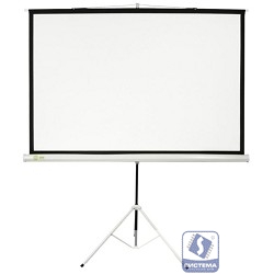 Экран Cactus Triscreen CS-PST-104x186 104.4 x 186см 1:1 напольный рулонный белый