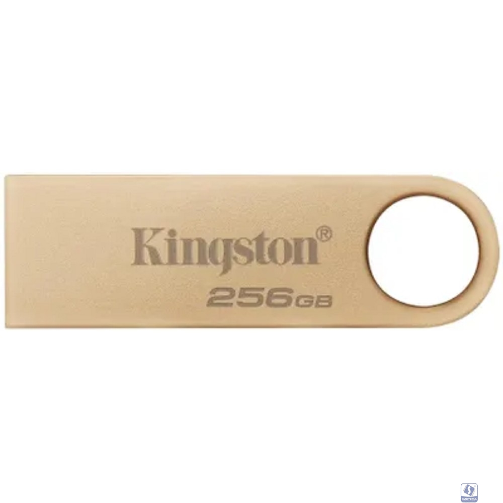 Kingston USB Drive 256GB DataTraveler SE9 DTSE9G3/256GB USB3.0 золотистый