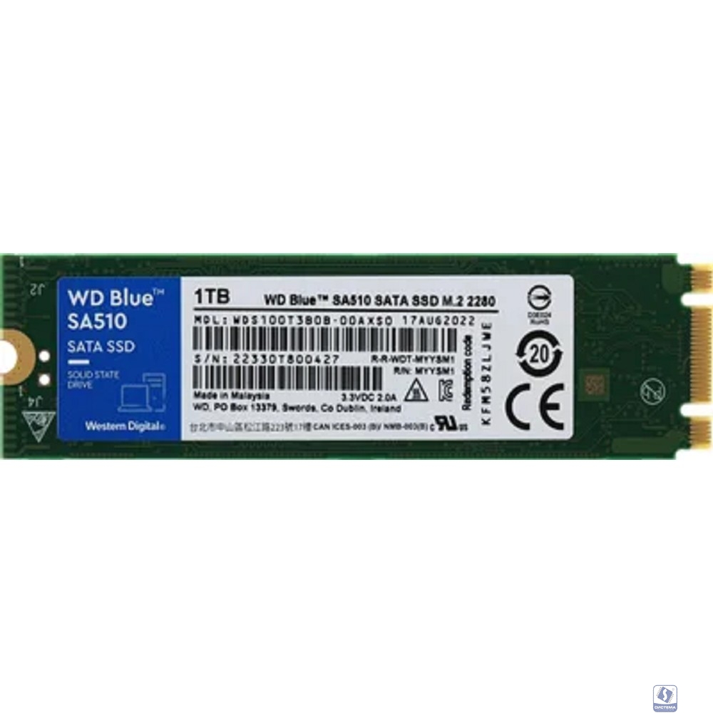 SSD WD Blue SA510 WDS100T3B0B 1ТБ, M.2 2280, SATA3