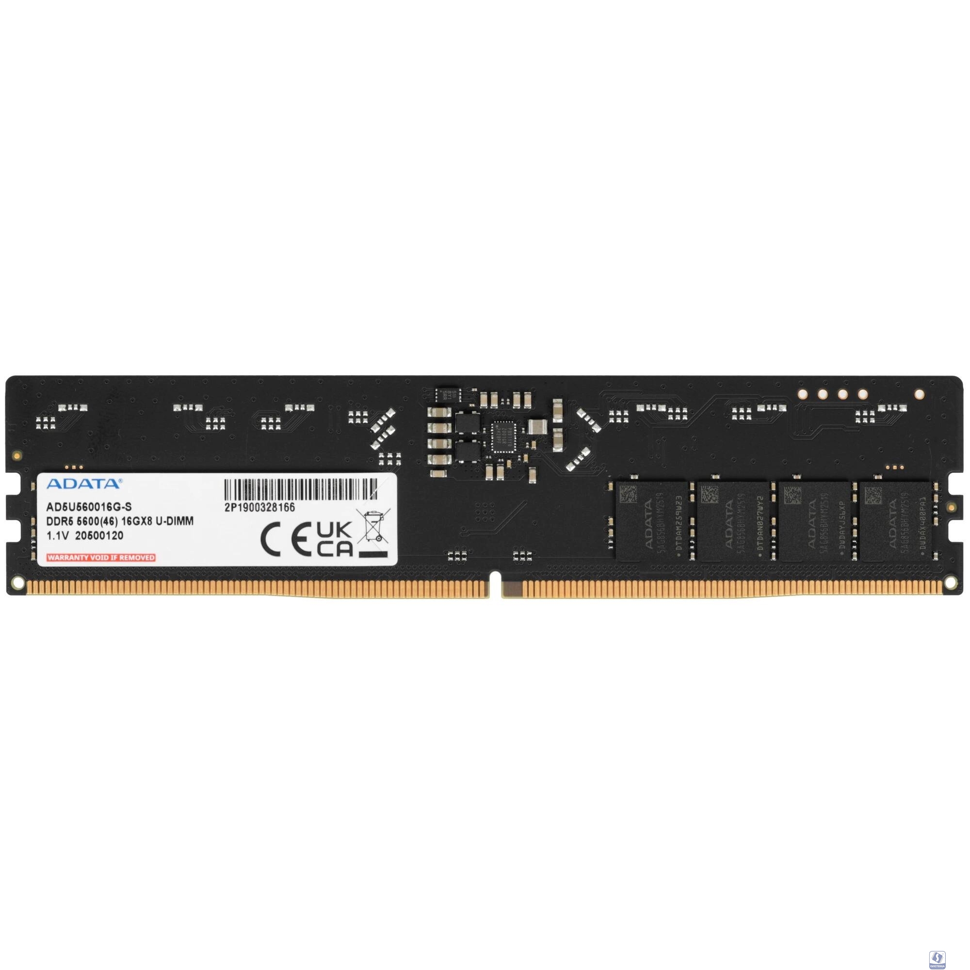 A-data DDR5 DIMM 16GB 5600 AD5U560016G-S 