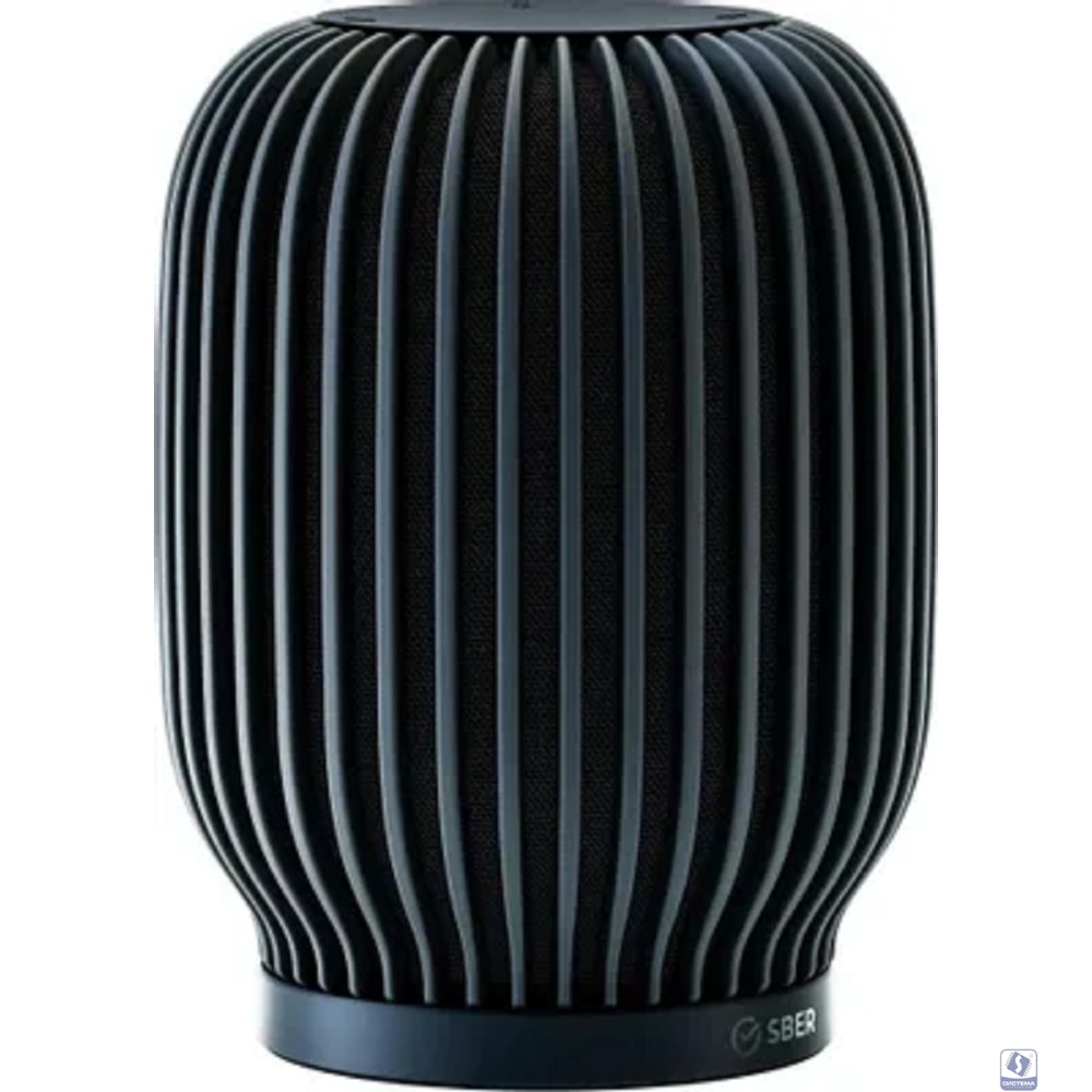 Акустическая система серии SberBoom модели SBDV-00090, цвет черный, торговой марки SBER