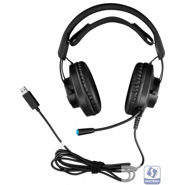 GMNG HS-L570G черный 2.1м мониторные (1533556)