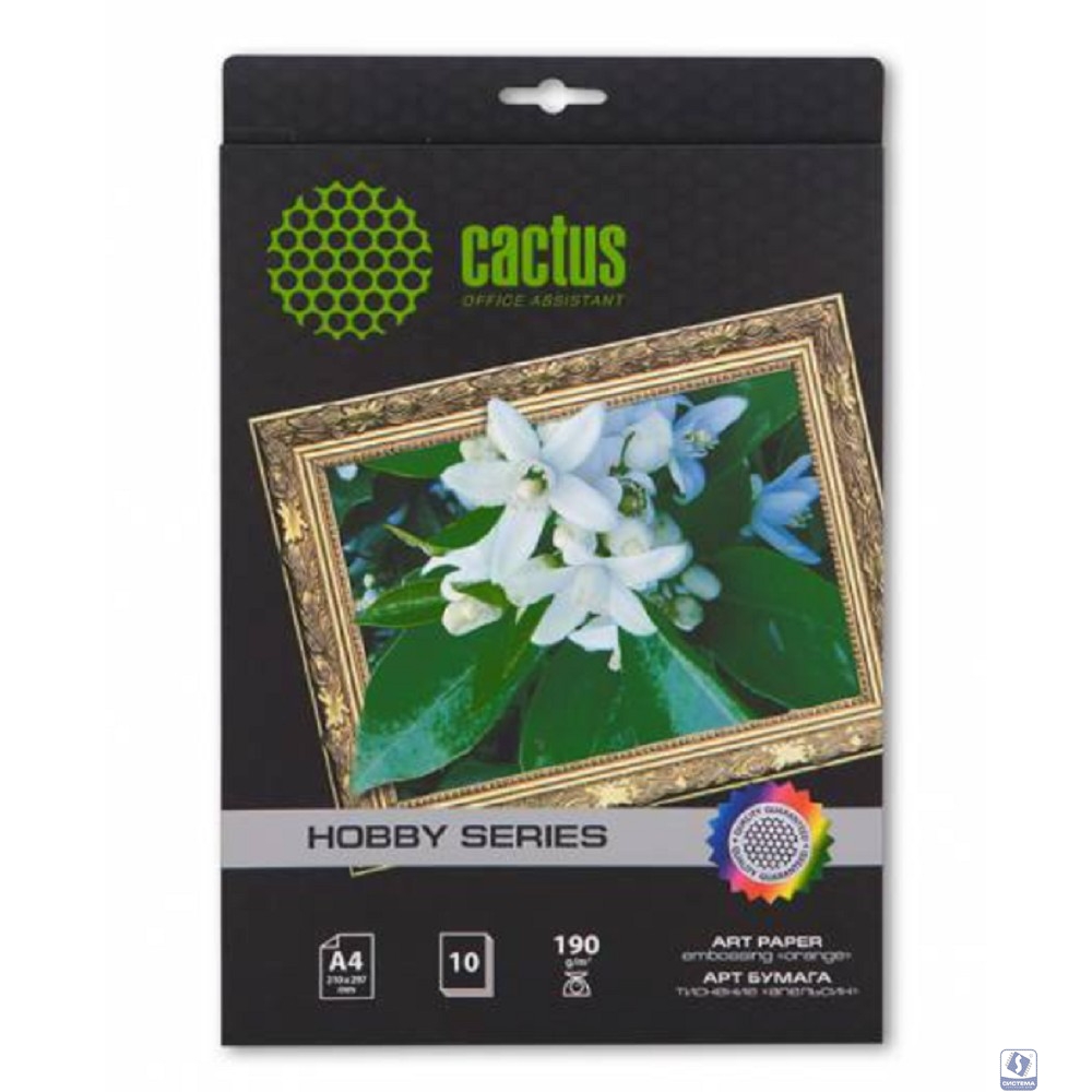CACTUS CS-DA419010 Фотобумага для струйной печати, A4, 190г/м2, 10 листов