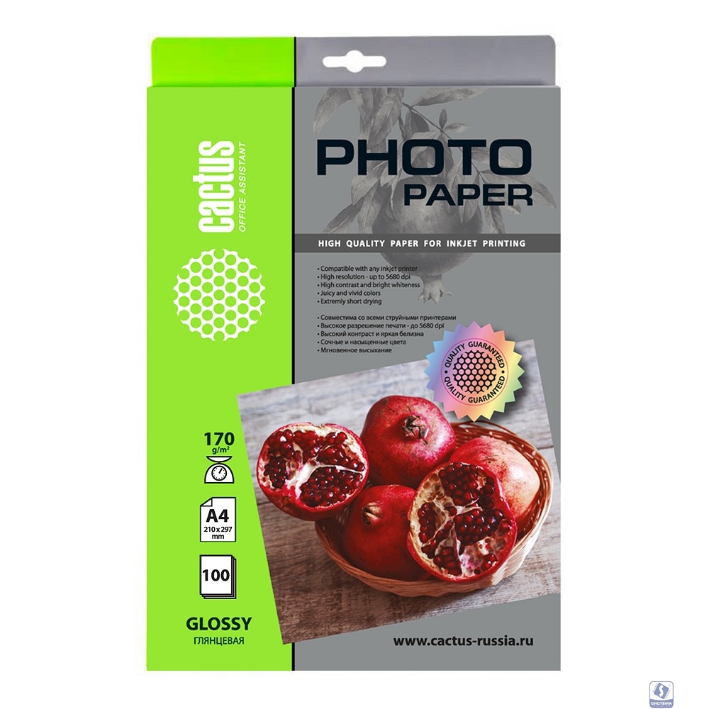 Фотобумага Cactus CS-GA4170100 A4/170г/м2/100л./белый глянцевое для струйной печати