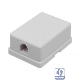 Itk CS2-1C5EU-12 Настенная инф. розетка RJ45, кат.5Е UTP, 1-порт